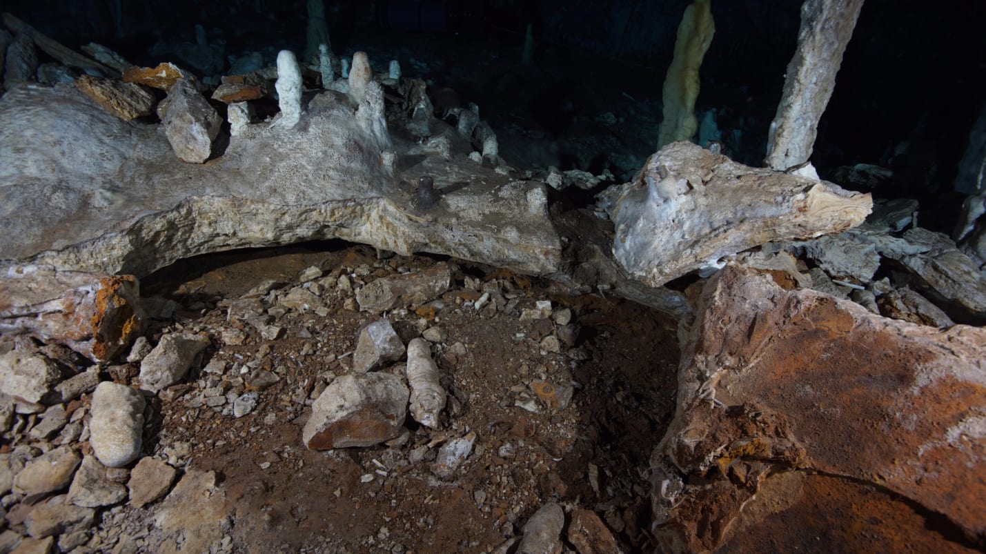 fossils in a flooded mine cave mexico divers24.pl