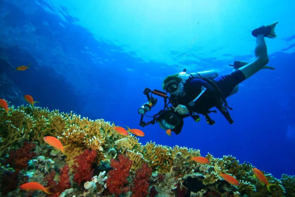 A diving trip for every budget?