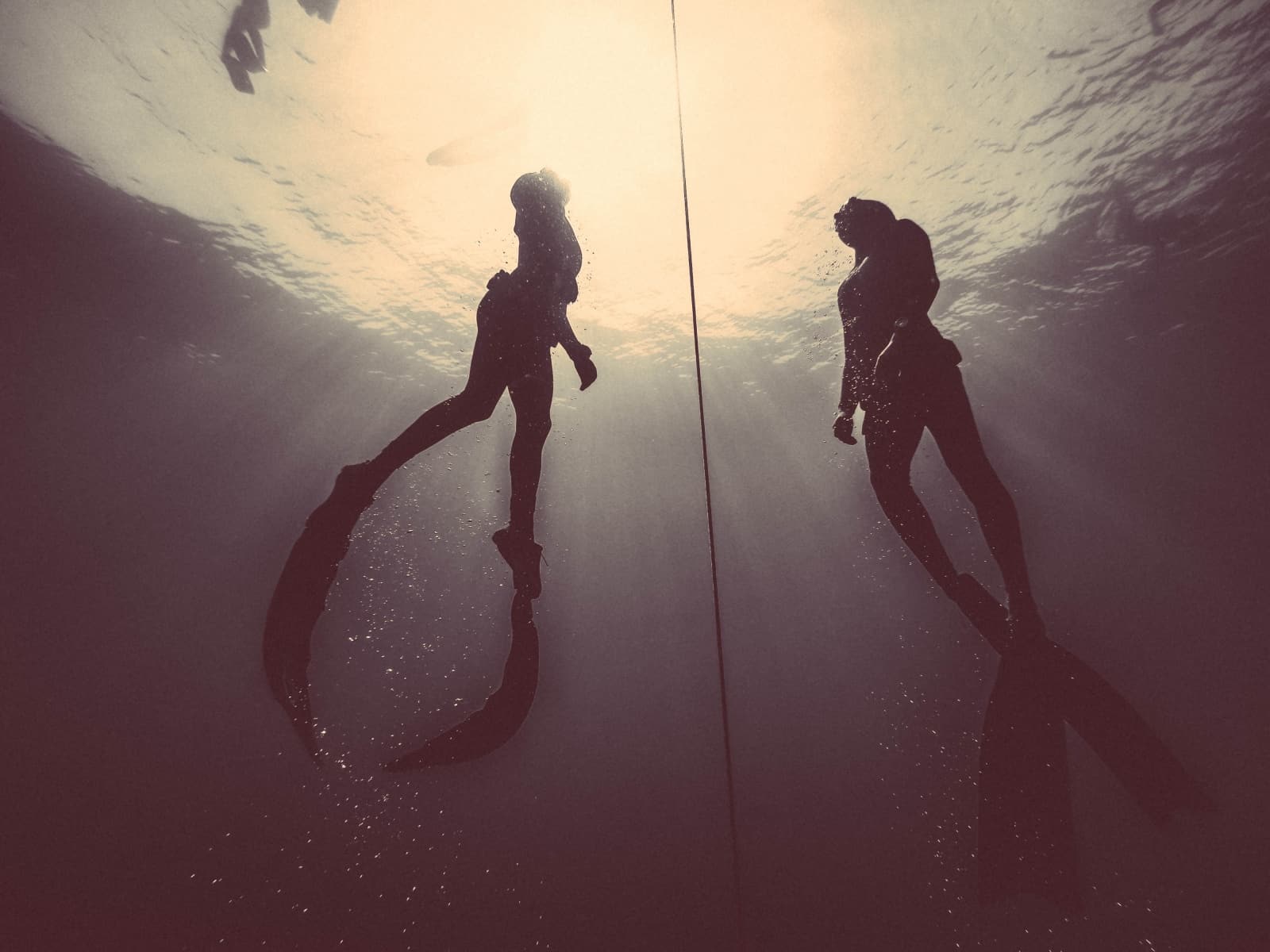 freediving competitions