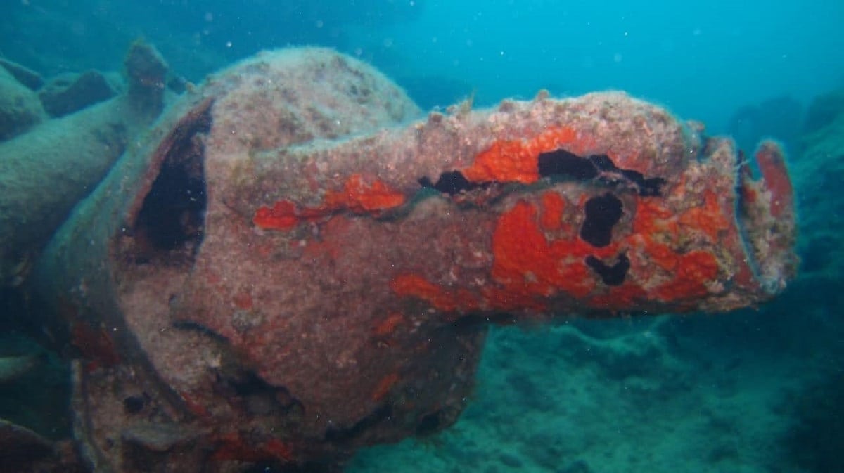 Amphorae found on a seabed in El Alamein
