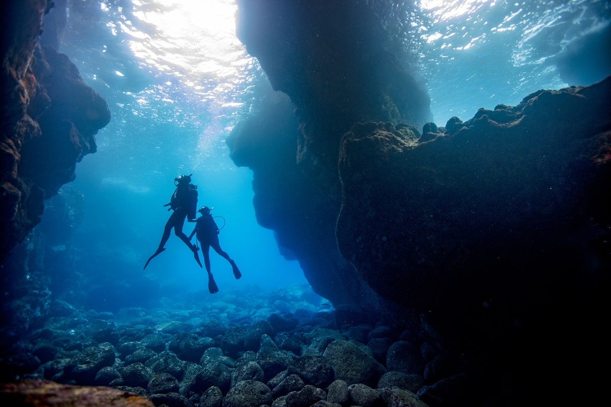 PADI helps Maui's diving community