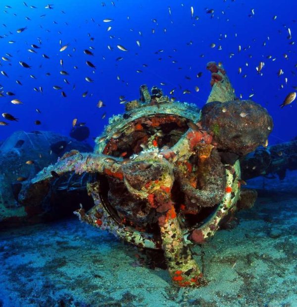91 wrecks opened to diving in Greece