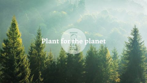 Fourth Element now planting a tree for every online order