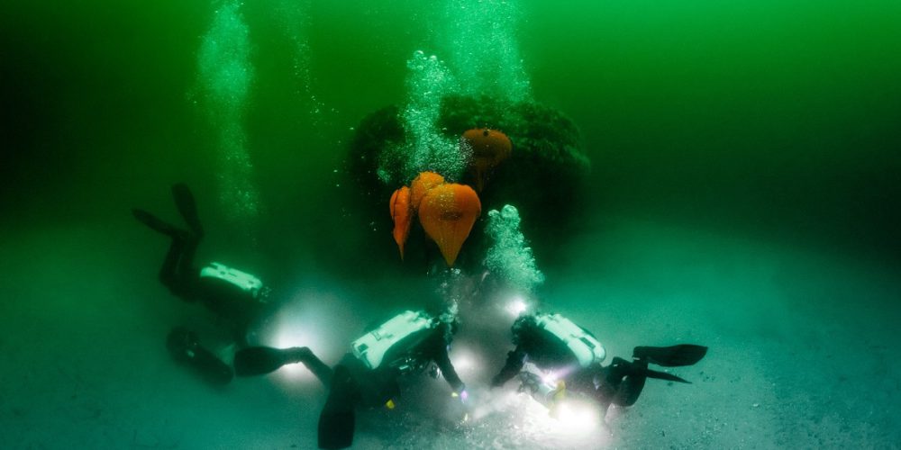 Busy weekend for Ghost Diving Poland divers in the Baltic Sea