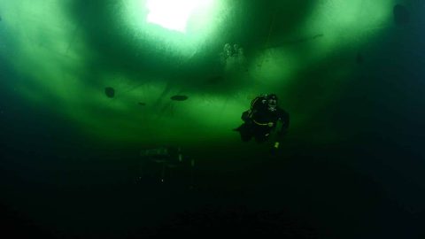 Science Under Ice: Polar Research Diving Courses