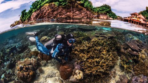 New PADI Aware Specialty Course – Learn How to Protect the Big Blue