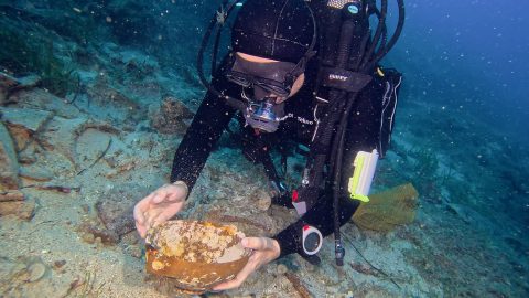 Island of Vis, Croatia – We have recovered ancient treasures!