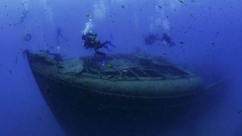Paris II – divers are damaging the awesome wreck of a French WWI patrol ship