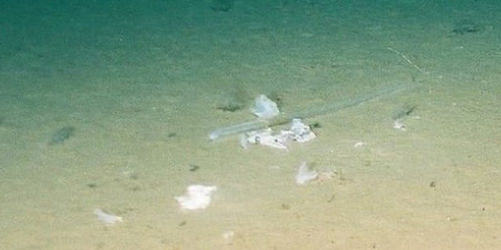 A plastic bag at the bottom of the Mariana Trench – video