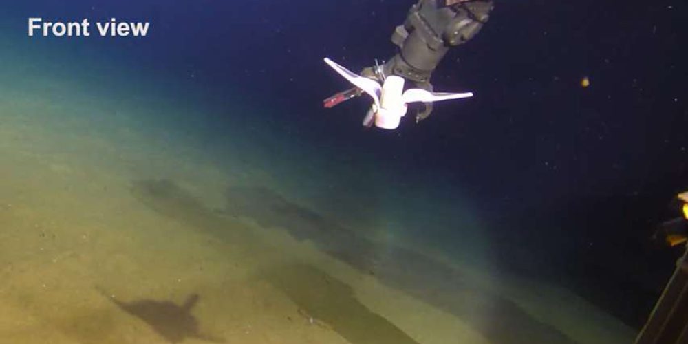A soft robot modelled on a fish has reached the bottom of the Mariana Trench – video