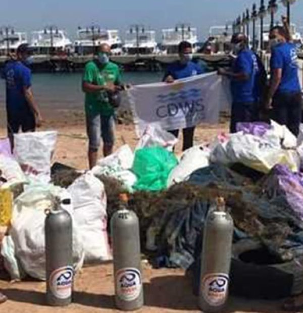In Egypt, 7 tonnes of rubbish were removed from the waters of the Red Sea!