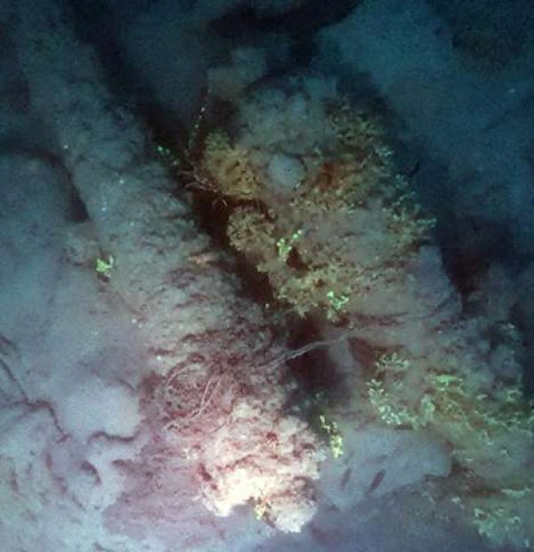 An 18th century warship found in the Aegean Sea