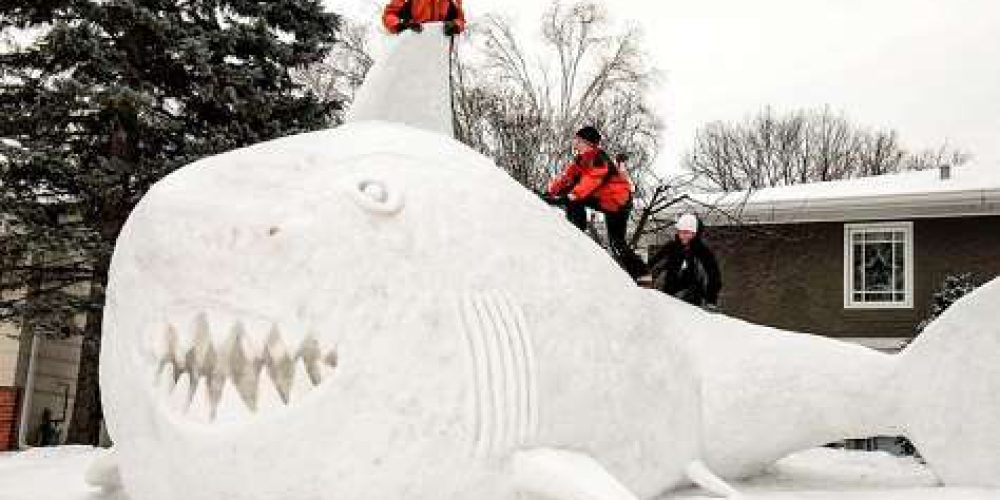 An idol shark has haunted Minnesota!