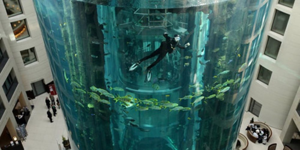 Aquadom Aquarium – the beauty of the underwater world in the heart of a European metropolis