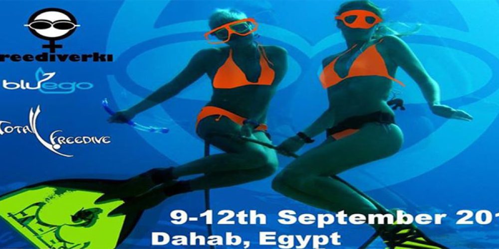 Bluego: the 6th edition of the Freediver Rally 2015 in Dahab!