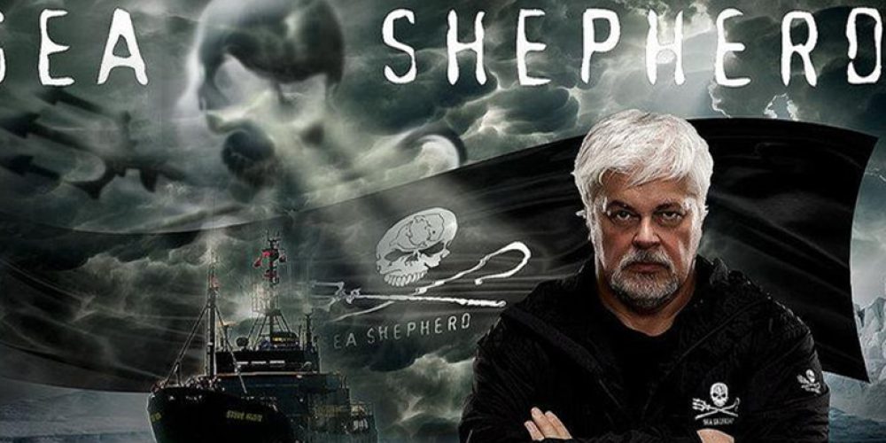 Captain Paul Watson exonerated after 17 years!