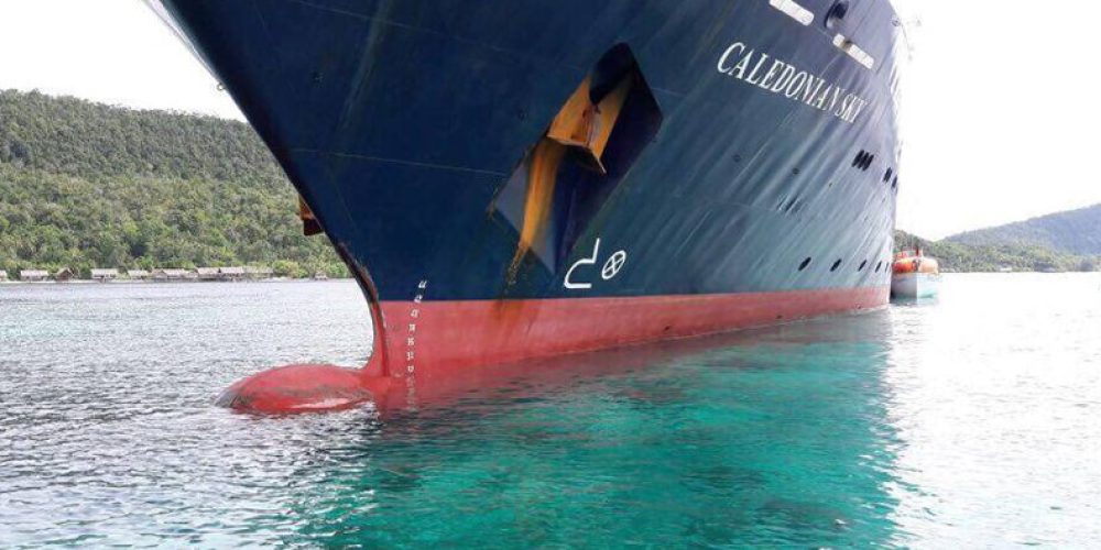 Cruise ship damaged one of Indonesia’s most beautiful reefs – video