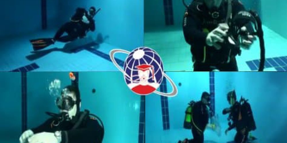 Divemaster Zone to be launched soon