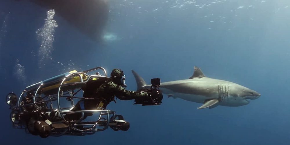 Diving among sharks in a self-propelled cage