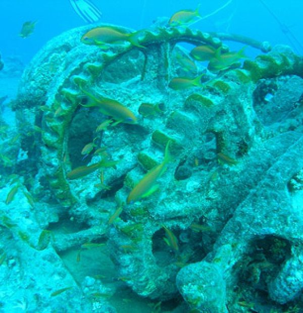 Diving on the wreck of the SS Thistlegorm