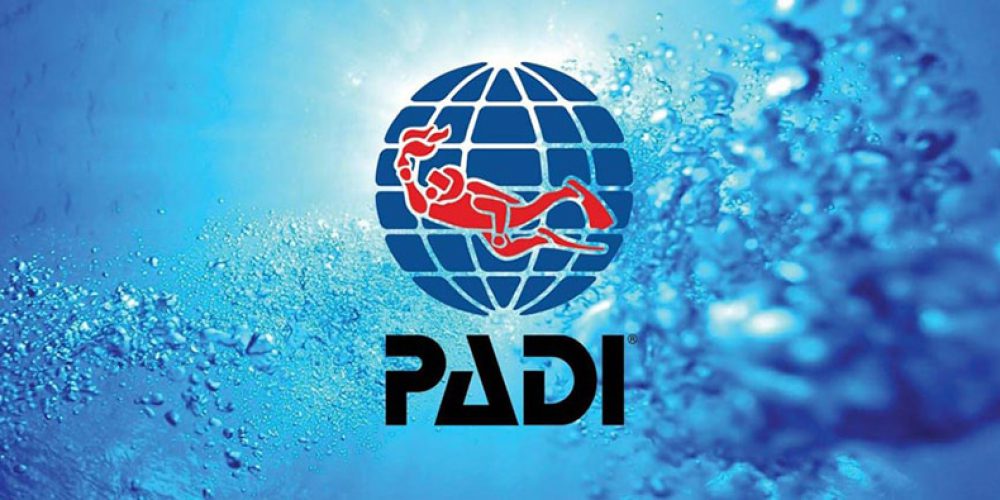 First webinar of the PADI Business Survival Series
