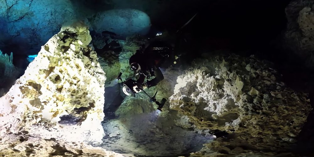 Five new cenotes have been discovered in Mexico!