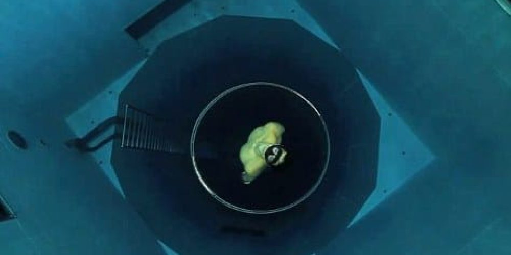 Freediving in the deepest pool in the world