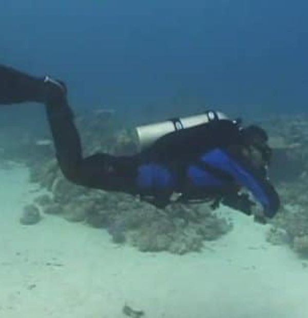 Fundamentals of technical diving