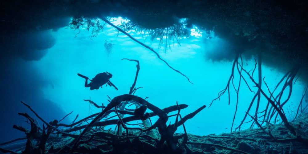 Mexican cenotes threatened by construction of tourist train