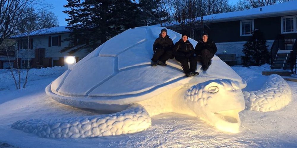 Minnesota brothers built a giant tortoise out of snow this year