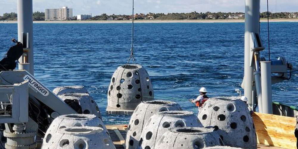 New artificial reef built in Florida