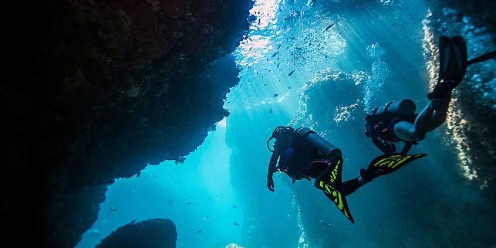 New PADI guides make diving trips easier