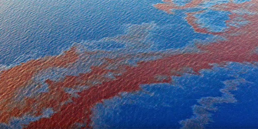 Oil spill in the Gulf of Mexico! – video