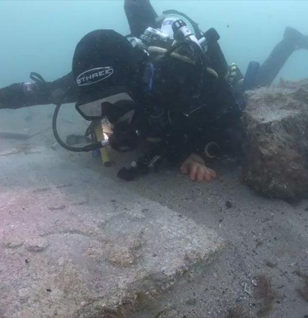 Oldest medieval English wreck discovered near Dorset