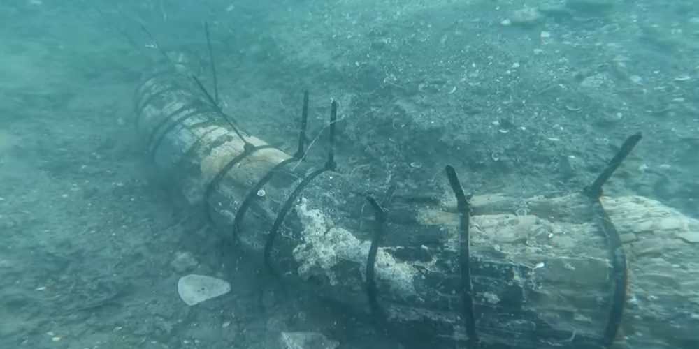 Punches of prehistoric mammoth found underwater – video