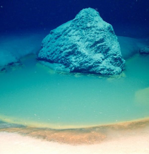 Rare deep-sea saline pools discovered in the Red Sea - video