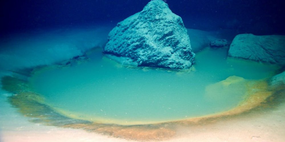 Rare deep-sea saline pools discovered in the Red Sea – video