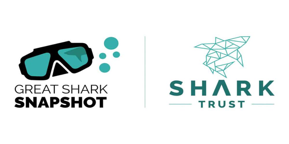 Results of the worldwide Shark Trust Great Shark Snapshot survey
