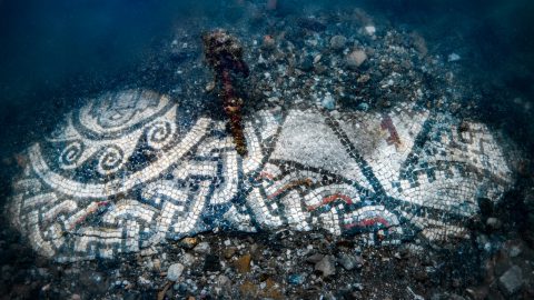 Stunning Roman Mosaic discovered in the Bay of Naples