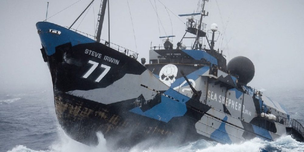 Sea Shepherd’s flagship will become an artificial reef?