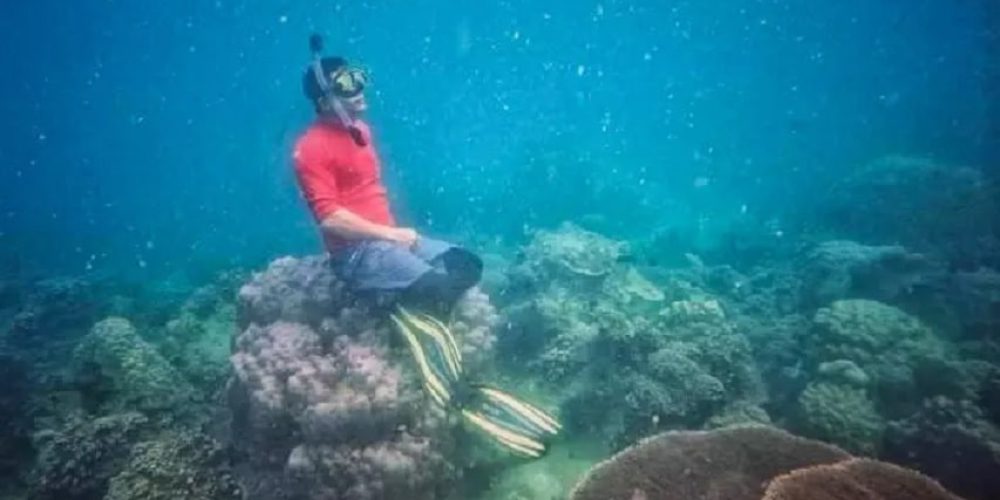 Thailand – Diver facing 10 years in prison for destroying coral reef