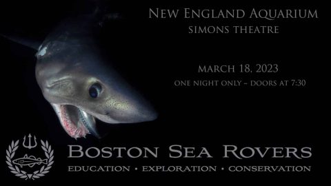 The Boston Sea Rovers are proud to announce the 70th International Ocean Symposium and Film Festival