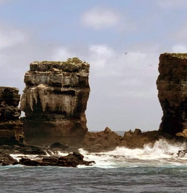 The famous Darwin's Arch collapsed in the Galapagos Islands - video