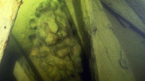 Amazing sculptures of 2 lions discovered on the wreck of the 17th-century ship Äpplet