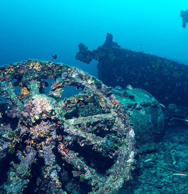 Underwater museum of shipwrecks from the Battle of Gallipoli opened in Turkey
