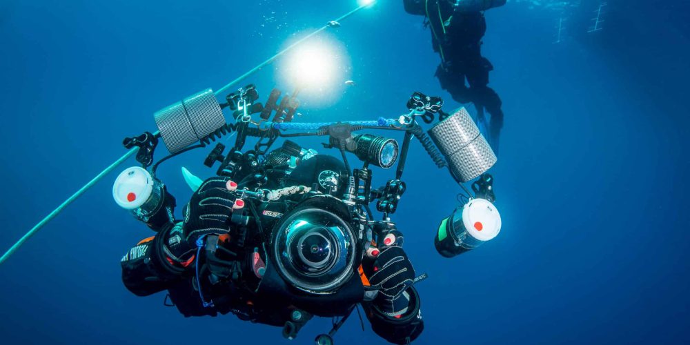 Underwater photographers and filmmakers rally Vis 2020