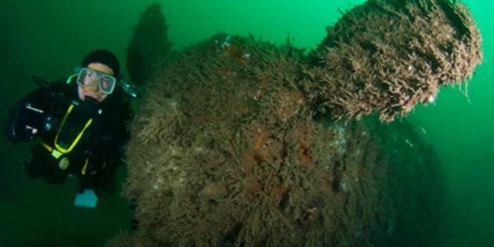 Virtual dive on the wreck of HMS Holland 5 – video