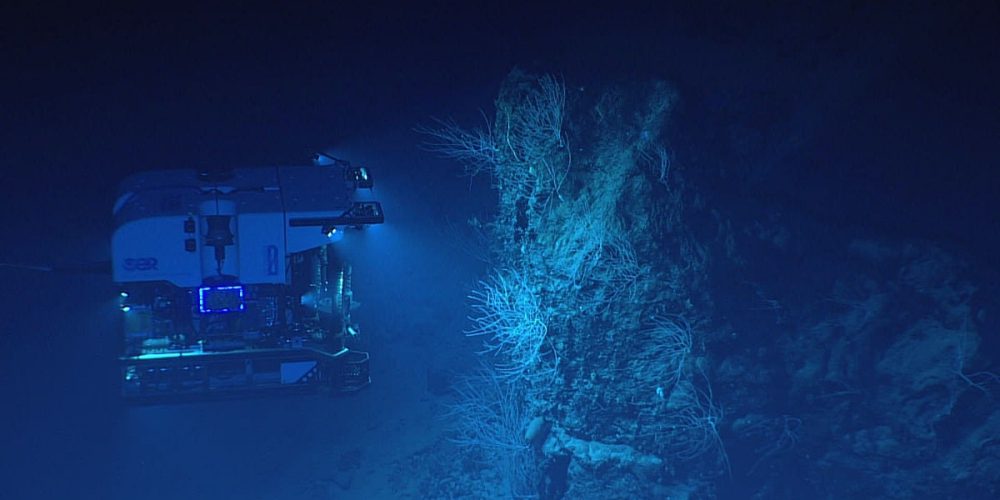 Voyage to the Ridge 2022 – exploring the ocean depths