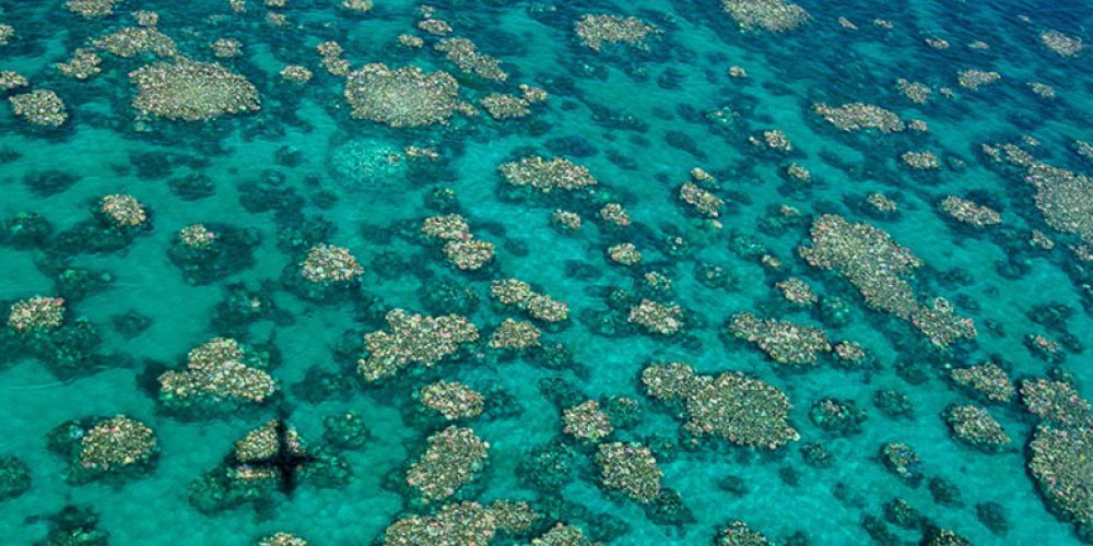 Why have scientists given coral reefs ‘heartburn’?