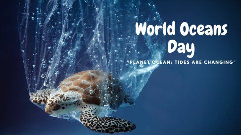 World Ocean Day